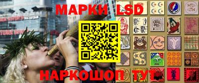 круглые Кингисепп