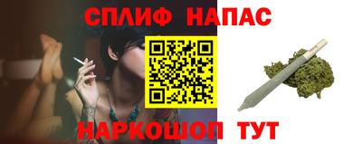 стаф Кинель