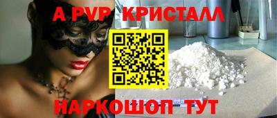 стаф Кинель