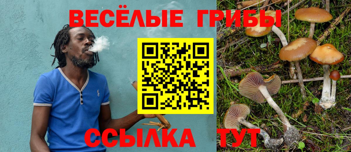Псилоцибиновые грибы мухоморы  Вход с VPN  Кимры  Галлюциногенные грибы Psilocybine cubensis 