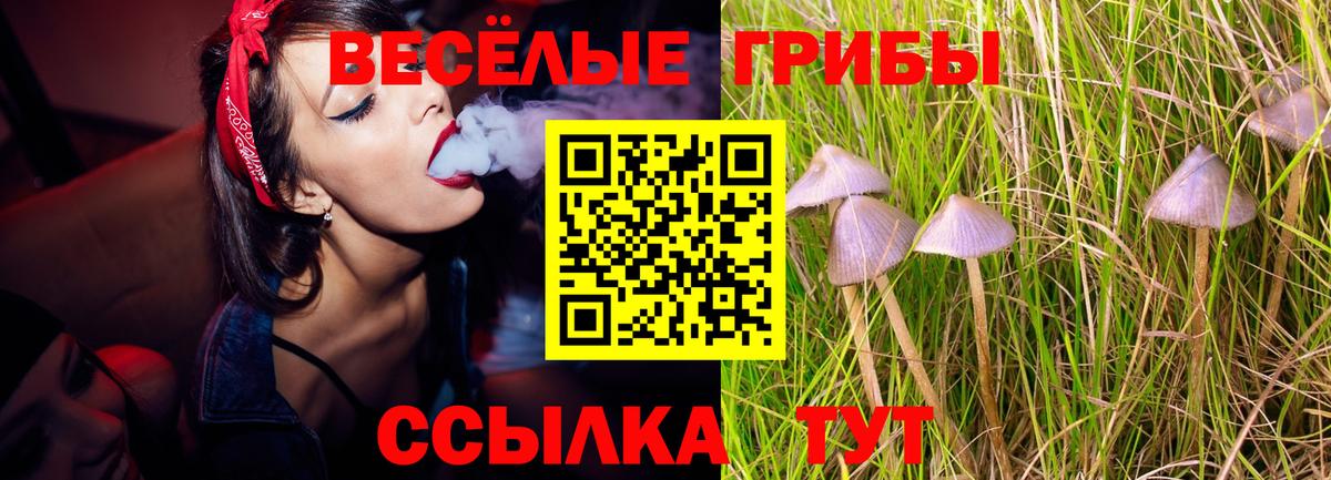 Псилоцибиновые грибы мицелий Кимры